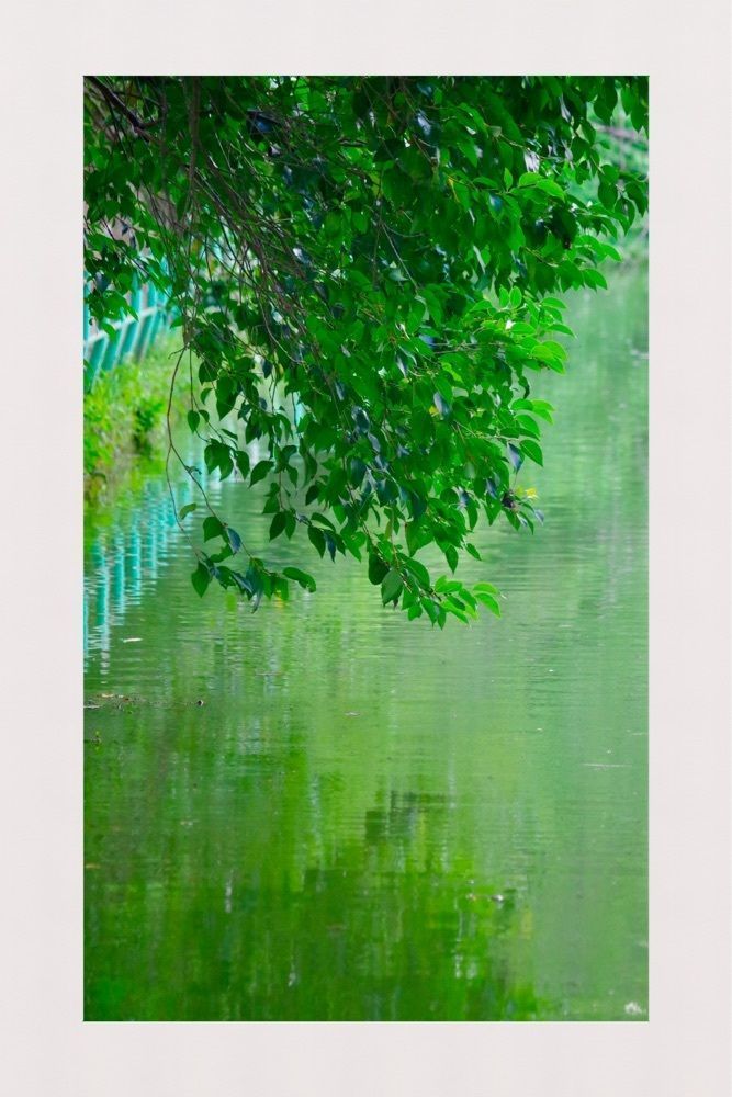 junkunさんが投稿したFour-leaf（フォーリーフ）に関する口コミの画像