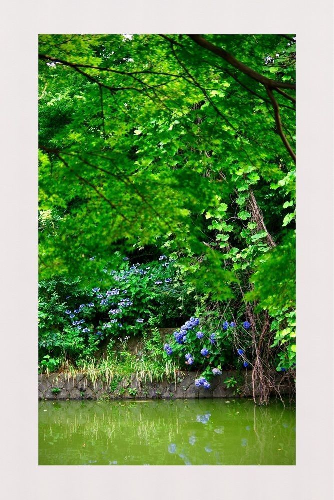 junkunさんが投稿したFour-leaf（フォーリーフ）に関する口コミの画像