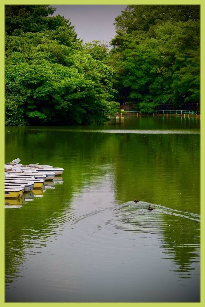 junkunさんが投稿したFour-leaf（フォーリーフ）に関する口コミの画像