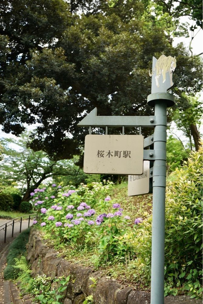 merryさんが投稿した野毛山公園に関する口コミの画像