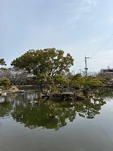 三柱神社 1枚目