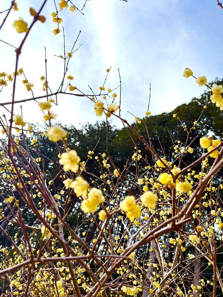 hirokororinさんが投稿した洞慶院に関する口コミの画像