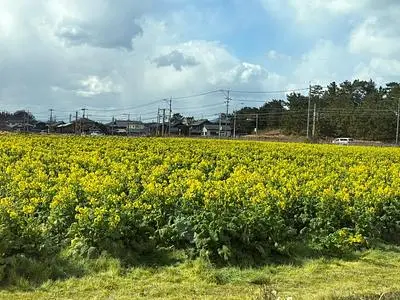 旅宿 よぶこ
