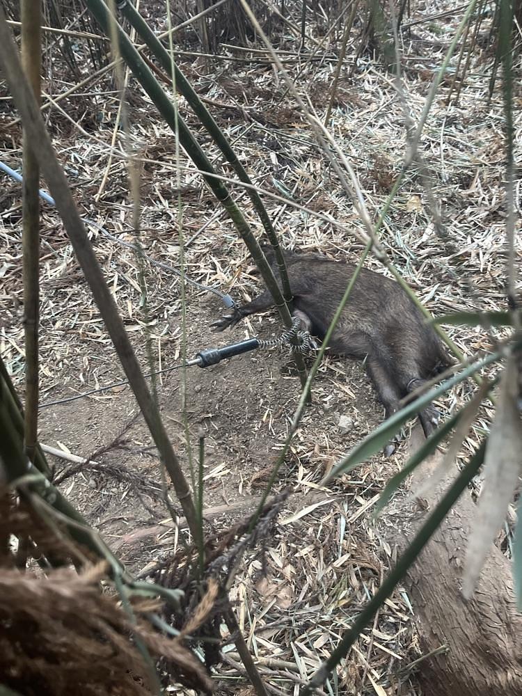 ロッシフミさんが投稿した館山市に関する口コミの画像