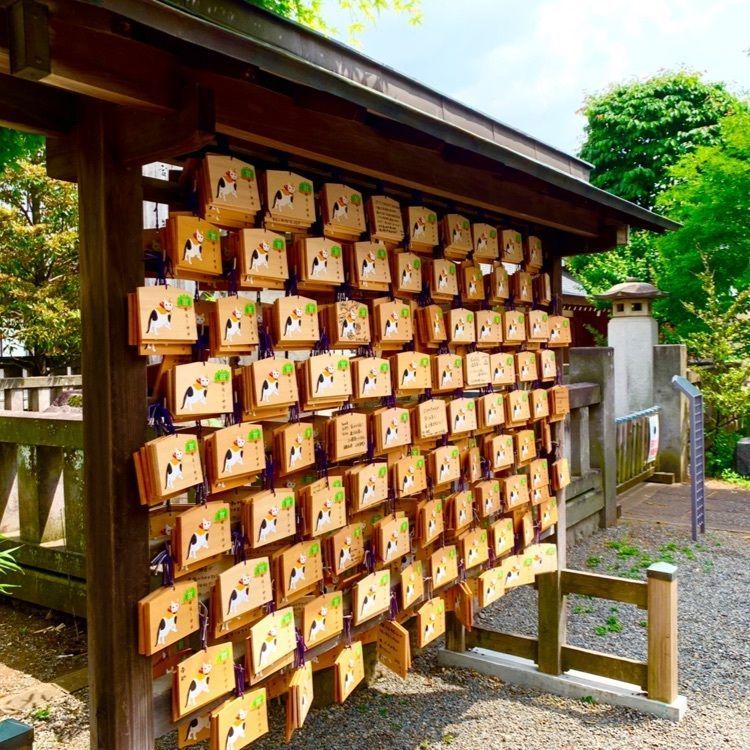 yoshi47さんが投稿した阿豆佐味天神社・立川水天宮に関する口コミの画像