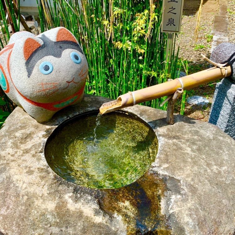 yoshi47さんが投稿した阿豆佐味天神社・立川水天宮に関する口コミの画像