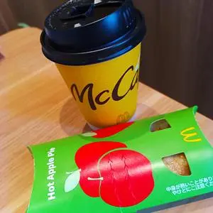 マクドナルド藤岡インター店