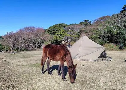 都井岬