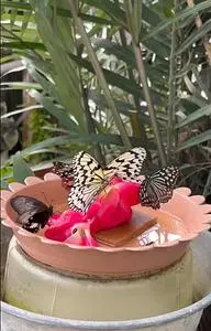 足立区生物園 2枚目