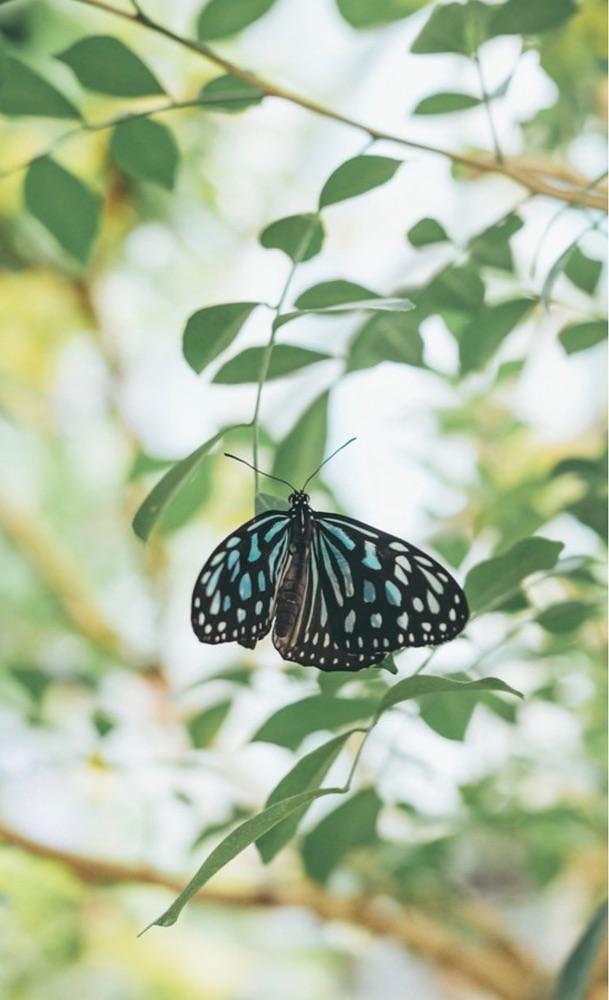 🤎アイヒンまま🤎さんが投稿した足立区生物園に関する口コミの画像