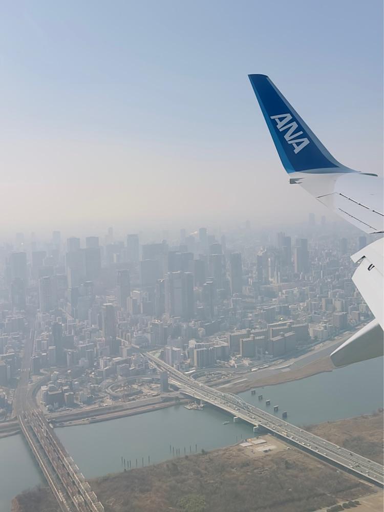 かめ_メグミさんが投稿したたこ家道頓堀くくる 大阪国際空港店に関する口コミの画像
