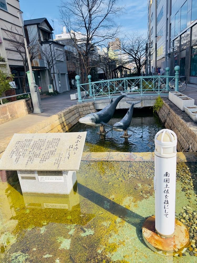 かめ_メグミさんが投稿した高知空港（高知龍馬空港）に関する口コミの画像