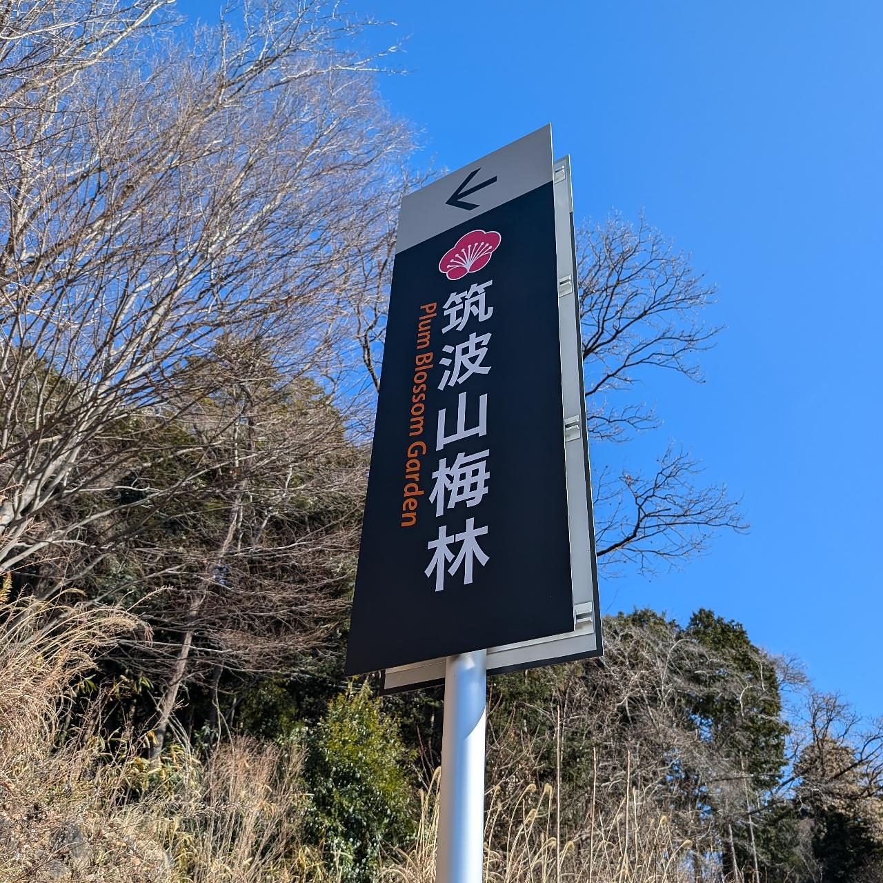 Pさんが投稿した筑波山梅林の梅に関する口コミの画像