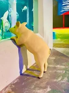 桂浜水族館