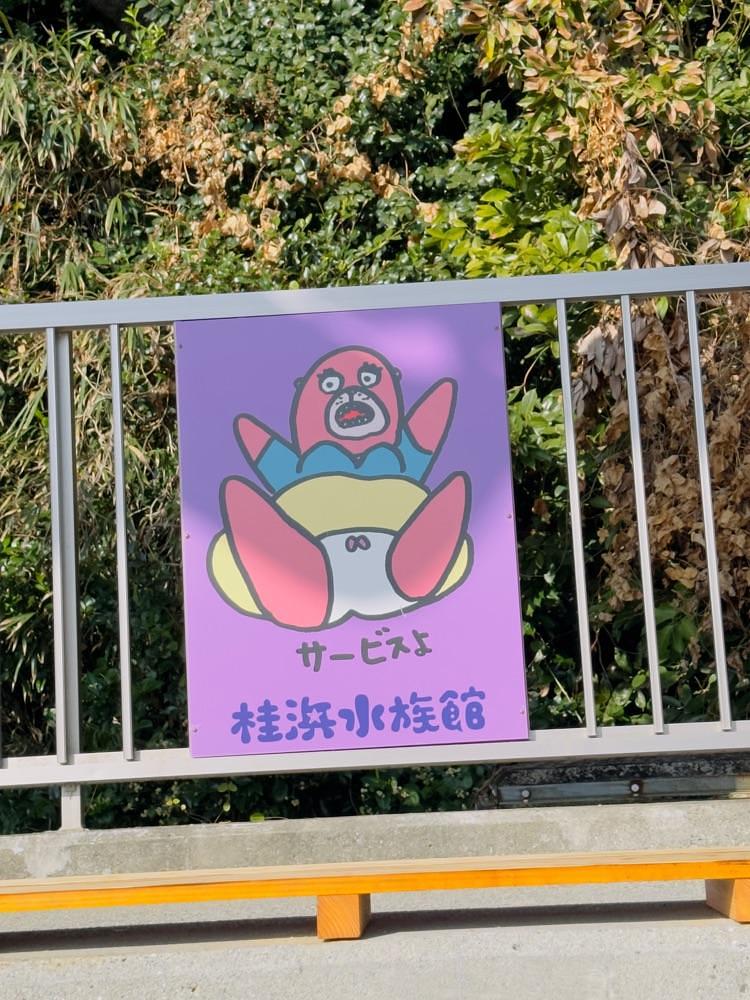 かめ_メグミさんが投稿した桂浜水族館に関する口コミの画像