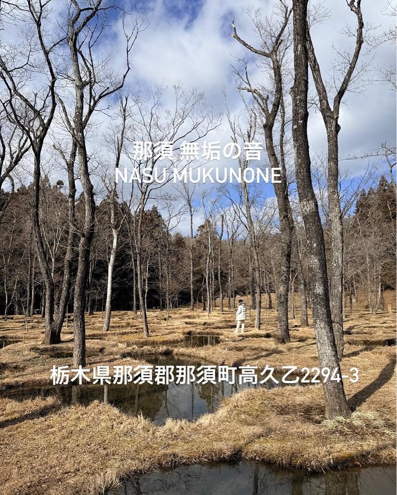 ともみんの大人旅さんが投稿した無垢の音（mukunone）に関する口コミの画像