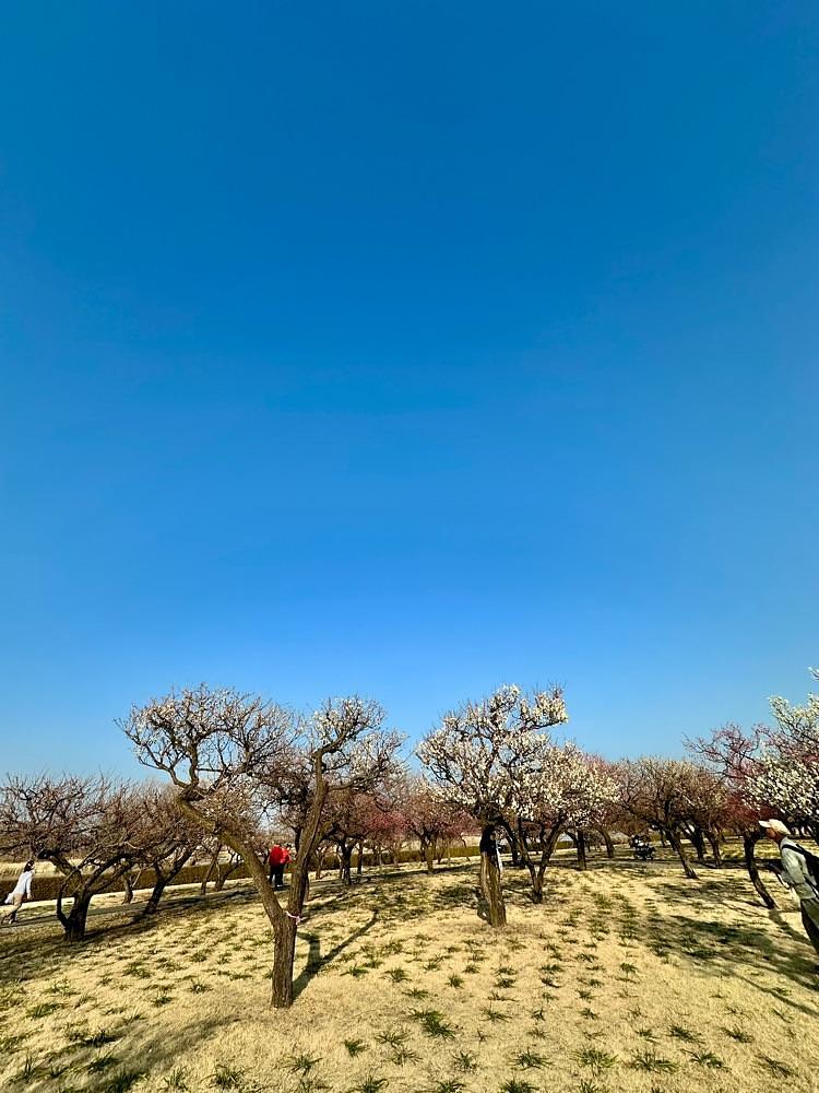 からっ風②さんが投稿したつつじ映像学習館に関する口コミの画像