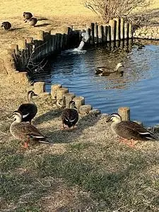 つつじ映像学習館