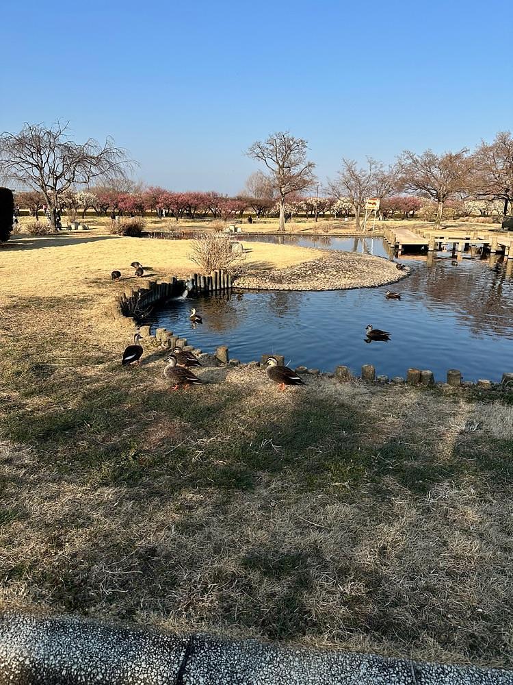 からっ風②さんが投稿したつつじ映像学習館に関する口コミの画像