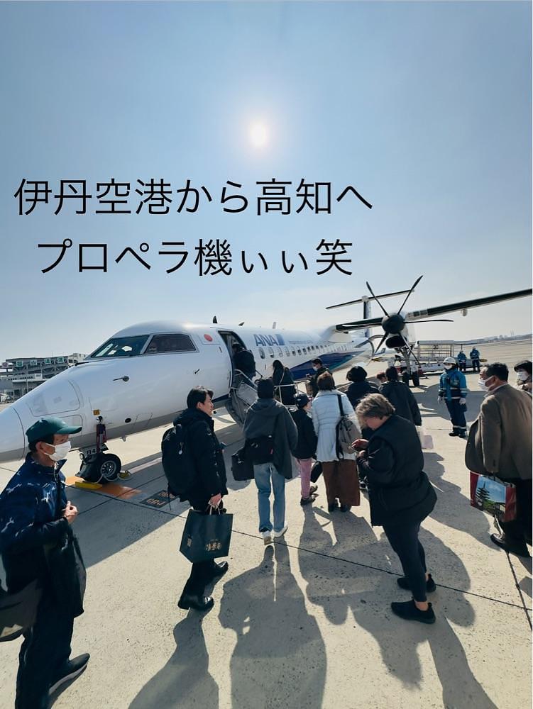 かめ_メグミさんが投稿した鶴橋 白雲台 伊丹空港店に関する口コミの画像