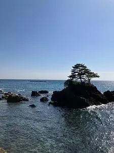 今井浜海岸