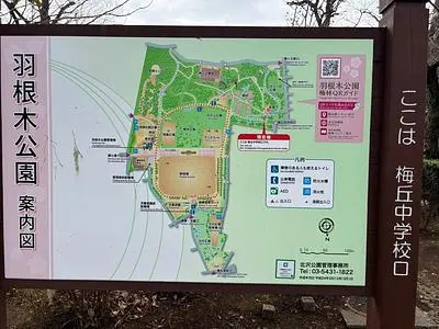 羽根木公園売店 はねっこ