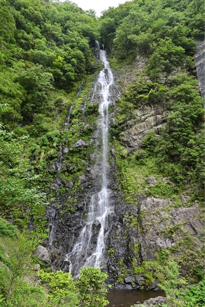 佳さんが投稿した山の駅 吊り橋の郷に関する口コミの画像