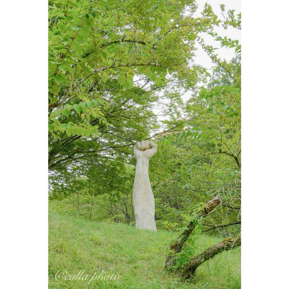urban_garden_243aさんが投稿したあさご芸術の森美術館に関する口コミの画像