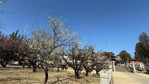 滝宮天満宮 2枚目