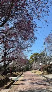 滝宮天満宮 1枚目