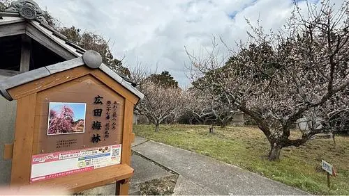 広田梅林ふれあい公園