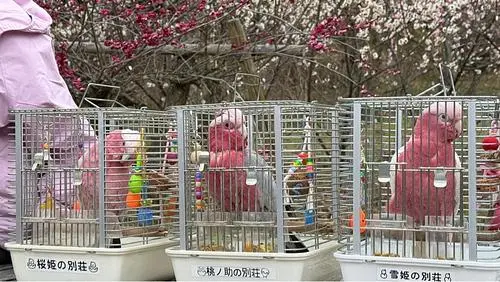 広田梅林ふれあい公園