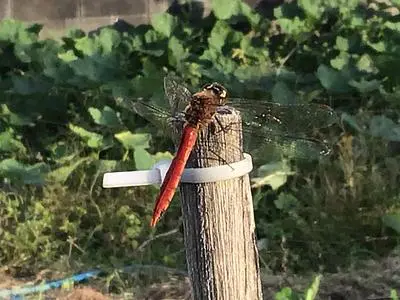 花見山心の手紙館