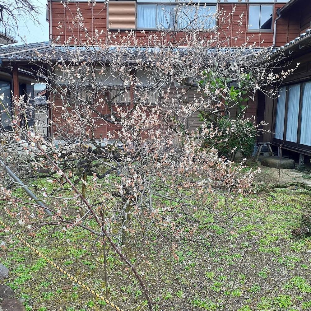 A bientot Japonさんが投稿した延慶寺に関する口コミの画像