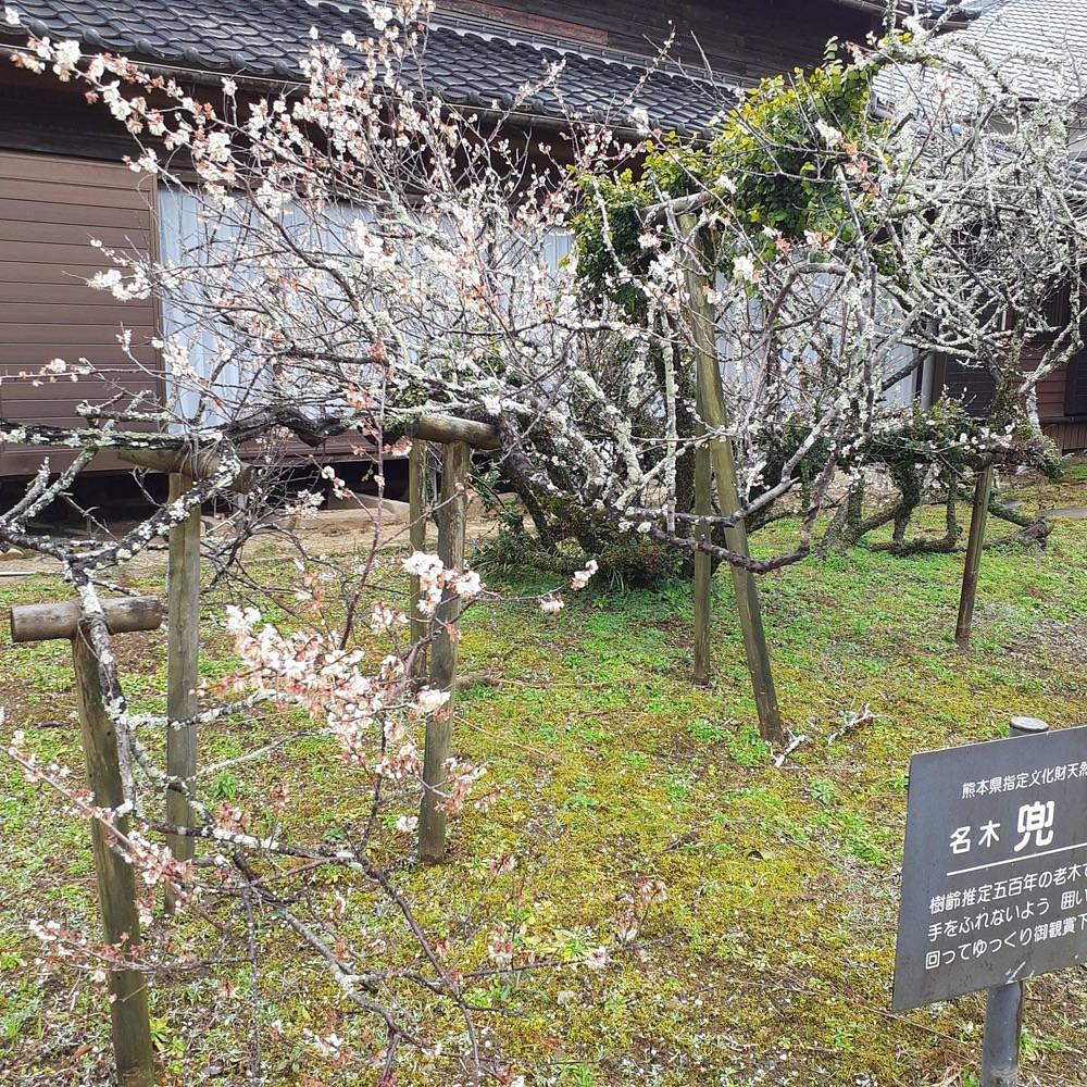 A bientot Japonさんが投稿した延慶寺に関する口コミの画像