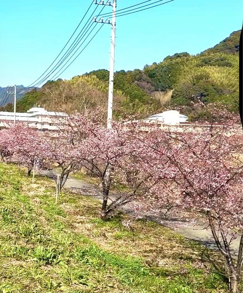 hirokororinさんが投稿したあさはた緑地に関する口コミの画像