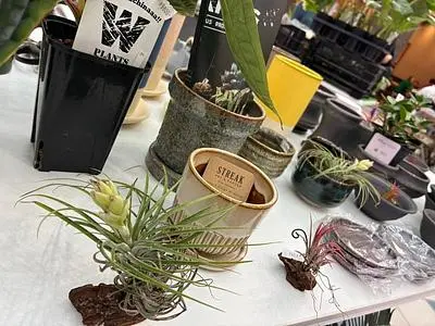 イーアス沖縄豊崎