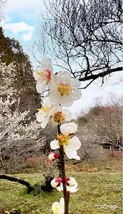 湖畔の里つきがせ