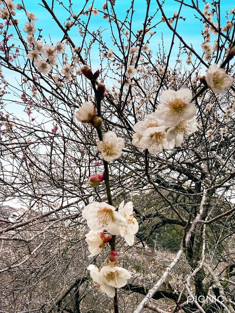 ぺたこ♡さんが投稿した湖畔の里つきがせに関する口コミの画像