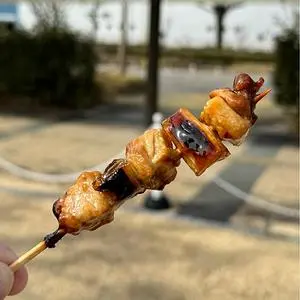 日本一 新静岡セノバ店