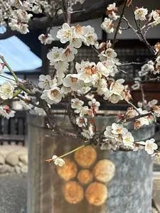 永心寺