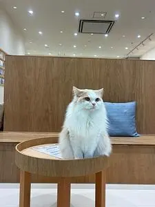 イーアス沖縄豊崎