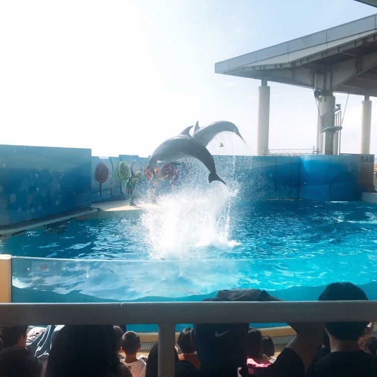 bswanted19さんが投稿した画像の画像