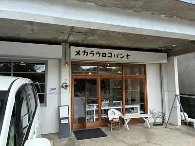 メカラウロコパンヤ