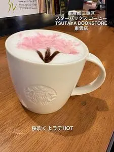 スターバックス コーヒー TSUTAYA BOOKSTORE 東雲店