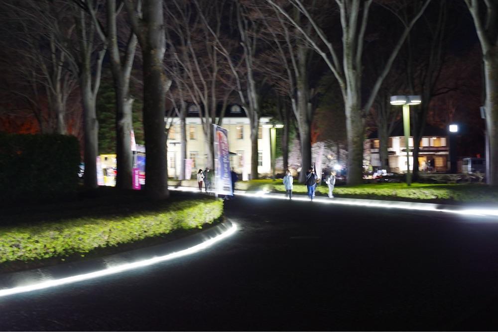 junkunさんが投稿した府中市郷土の森博物館の梅園に関する口コミの画像