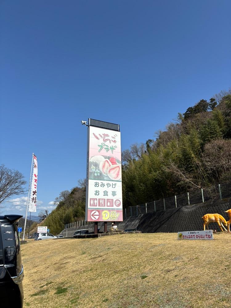 ぱっつんさんが投稿したいちごプラザ（大福や）に関する口コミの画像
