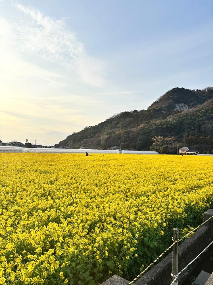 luckyさんが投稿した道の駅原鶴に関する口コミの画像