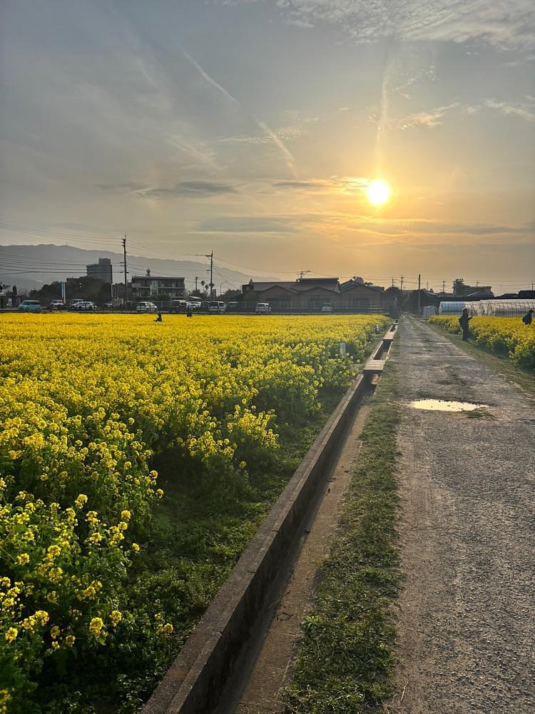 luckyさんが投稿した道の駅原鶴に関する口コミの画像