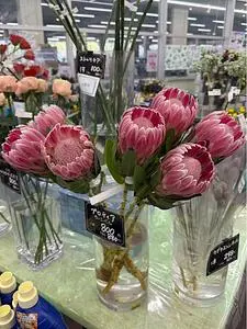 ジョイフル本田 千代田店